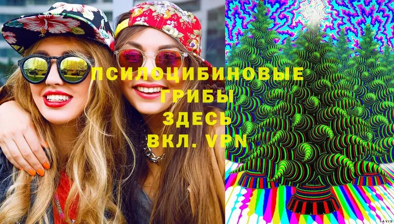 Псилоцибиновые грибы MAGIC MUSHROOMS  blacksprut как войти  Вилюйск 